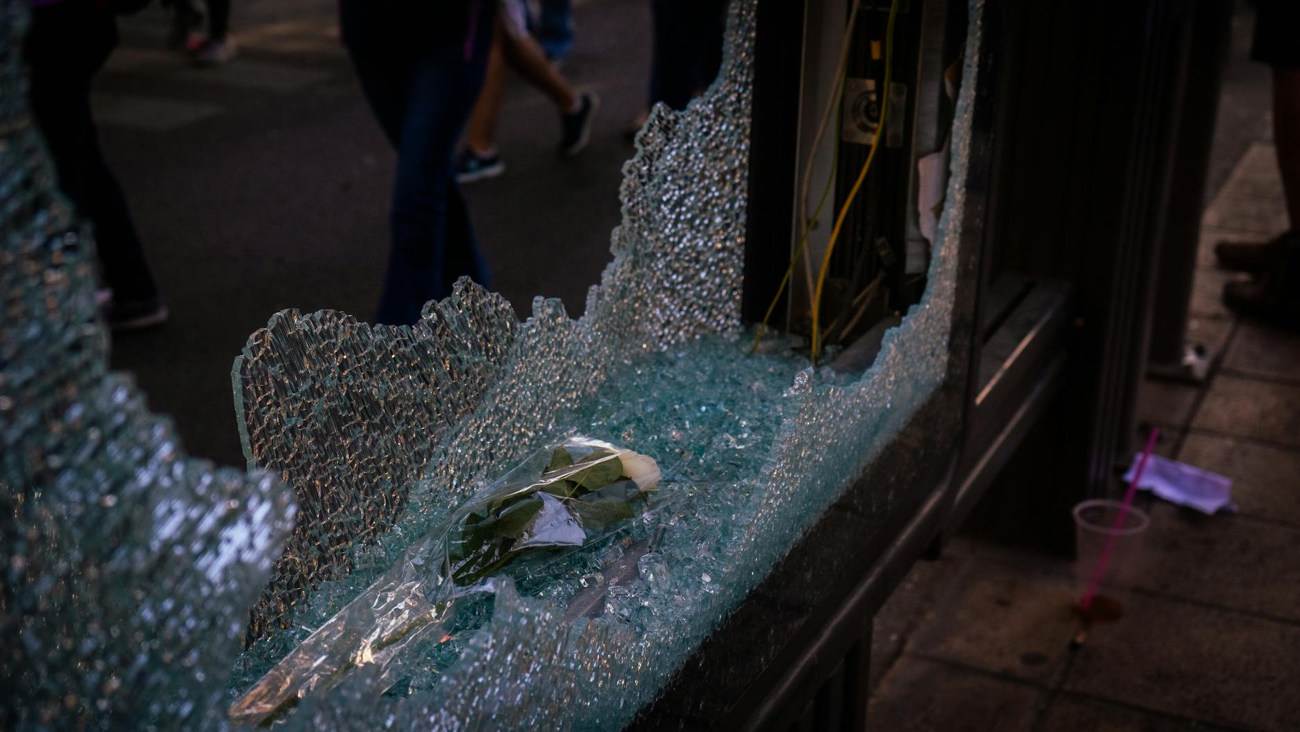 산산이 부서진 유리 조각 사이에 놓인 흰 장미 한 송이. 거리 위의 어둡고 차가운 분위기 속에서 희미한 희망이 느껴지는 장면.